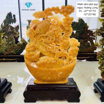 Nhân Sâm Phú Quý-Ngọc Hoàng Long